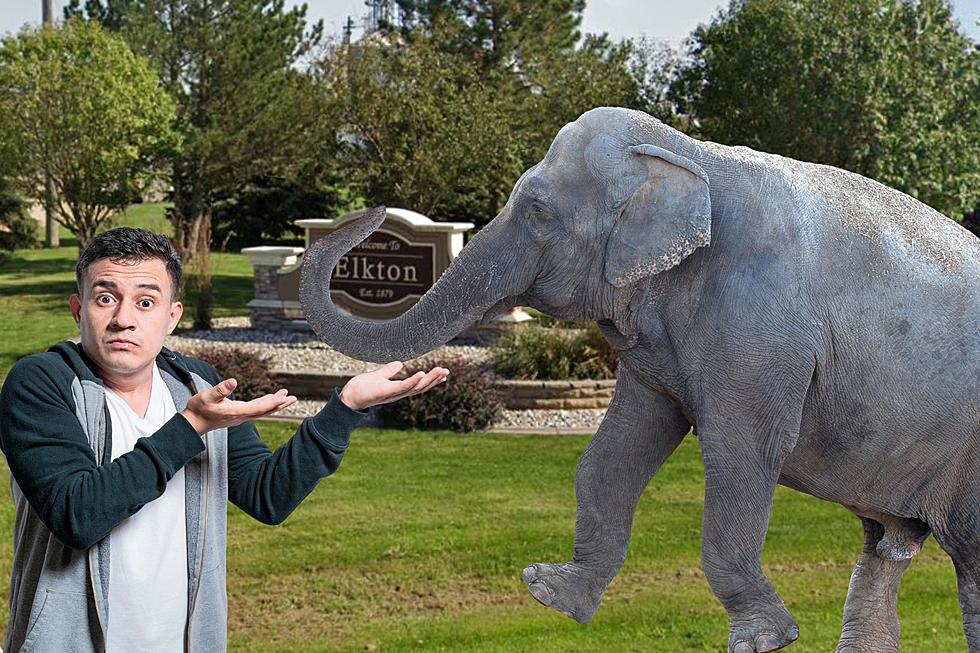 That Time A Mad Elephant Was On The Loose In Elkton, South Dakota