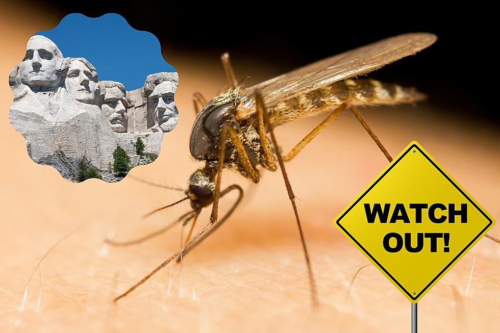 The Worst States For Mosquitoes This Summer Include South Dakota