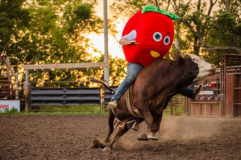 South Dakota Apple Orchard To Feature Show-Stopping Bull Riding