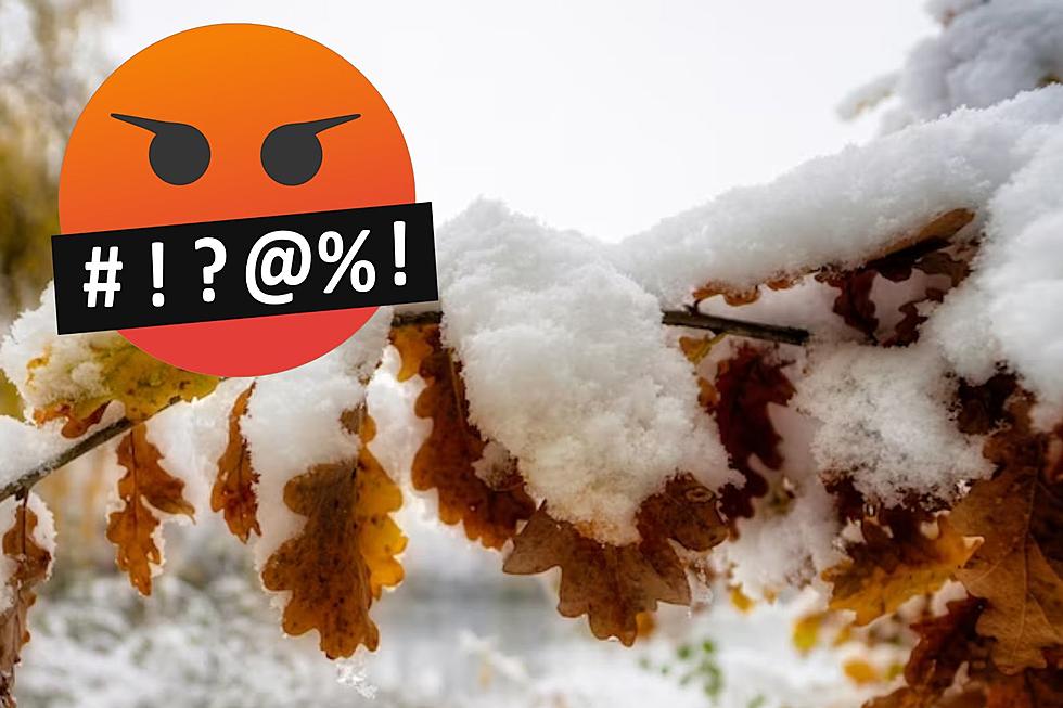 Farmers' Almanac Predicts Snow In South Dakota This Fall...Gross 