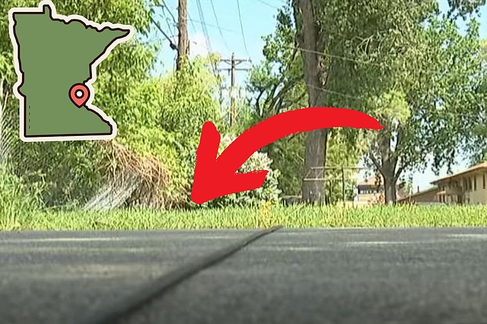 What Are These Black Cables Doing on Minnesota Roads?