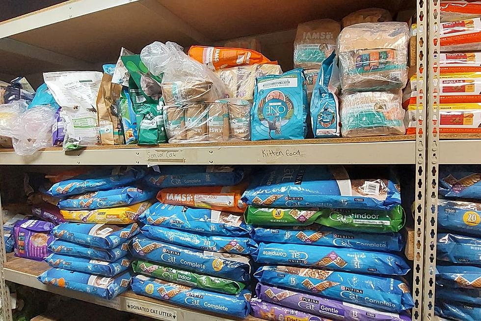 Sioux Falls Area Humane Society Really Needs Food Donations