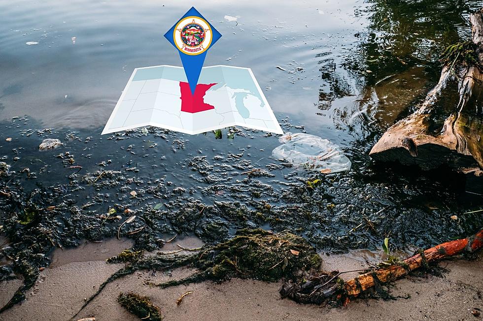Minnesota’s Dirtiest Lakes Might Surprise You