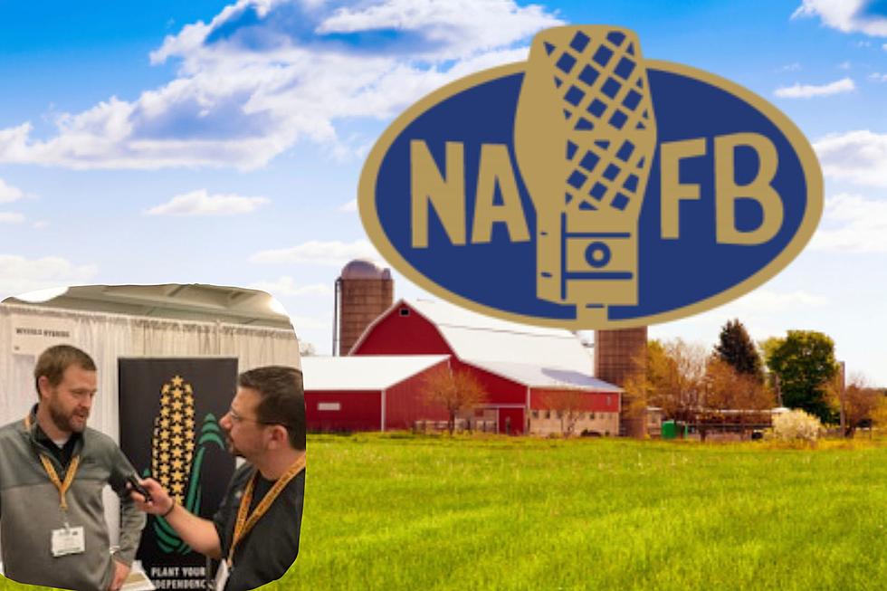 Wyffels Hybrids Talks Crop Management at NAFB 2023