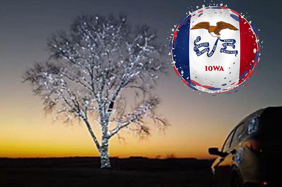 Iowa’s Most Majestic Christmas Tree Has Over 80,000 Lights
