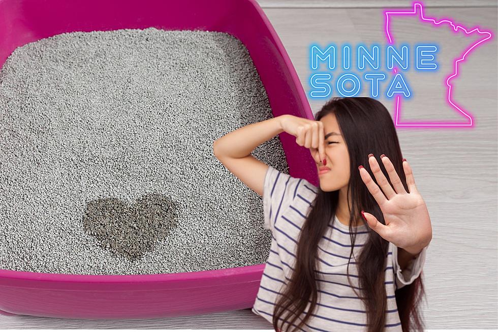 Minnesota Animal Shelter Offers Smelly Litter Boxes For Your Ex!