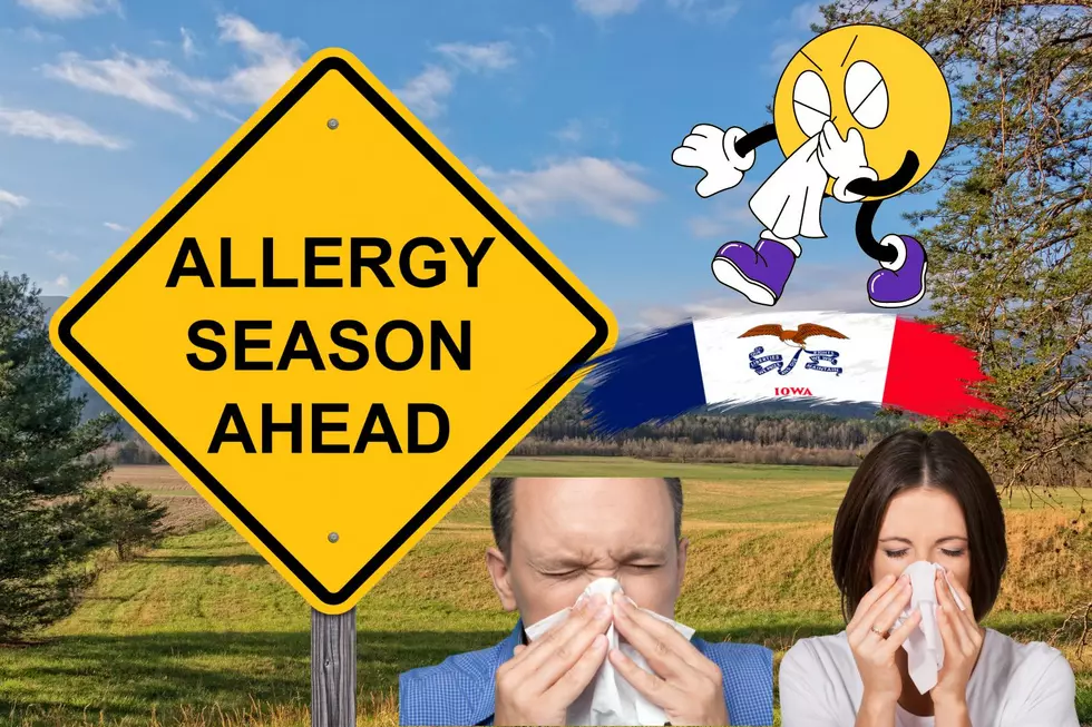 One Town in Iowa Ranked Among Worst For Allergies in 2024