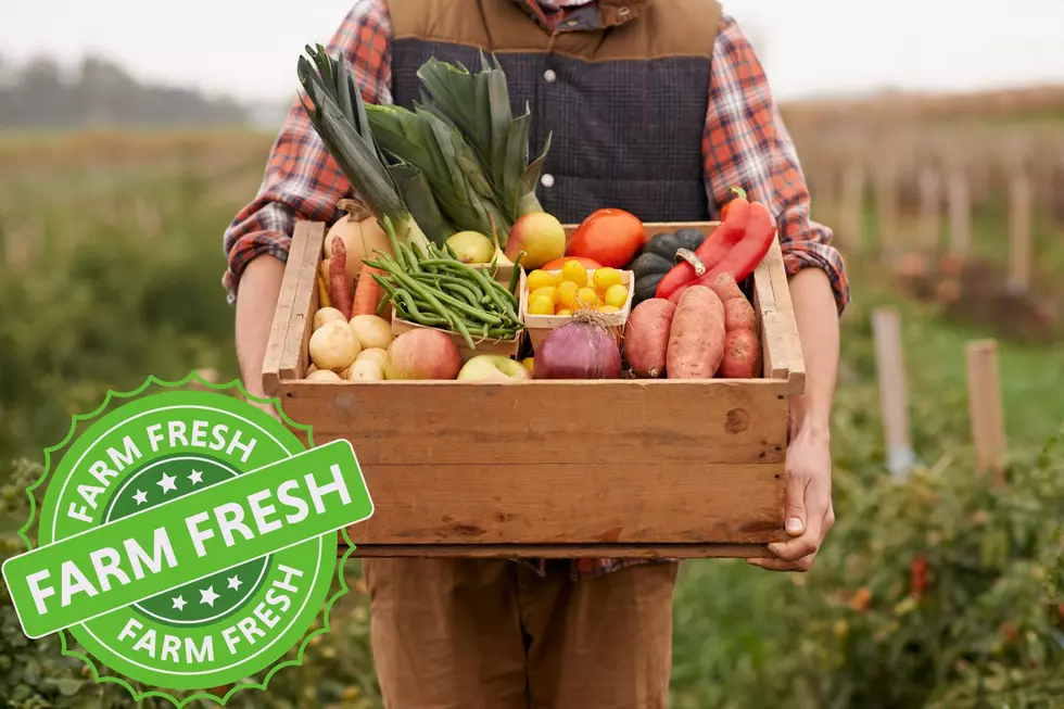 New App Let's South Dakotans Buy Food Directly Local Farms