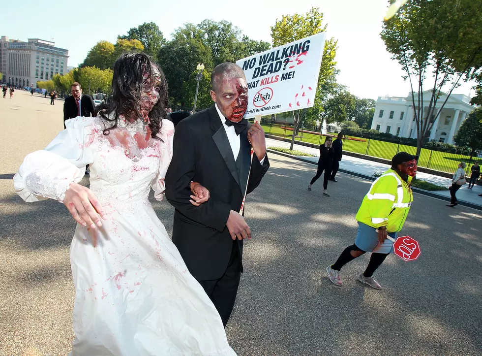 (Fake) Zombies Protest Dish Network to Bring Back ‘Walking Dead’