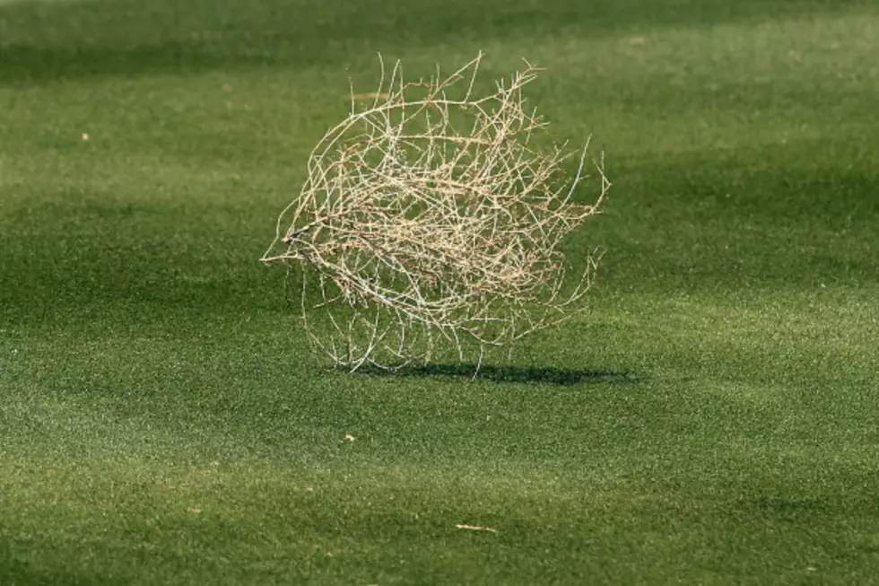 See Tumbleweeds Bury a New Mexico Town