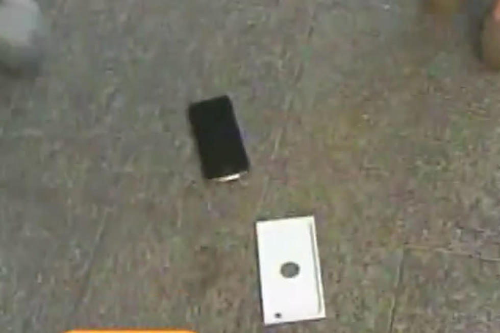 Kid Opens New iPhone 6 and Promptly Drops It