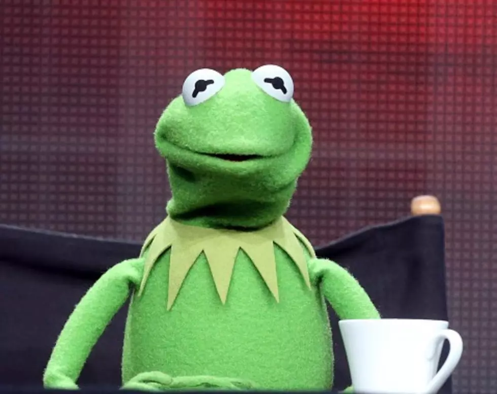 Thanks Internet: The Muppets Perform Eminem