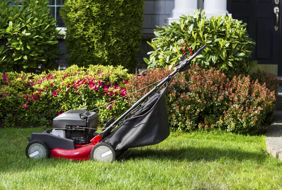 Student Starts Free Lawn Care Service for Elderly and Single Moms