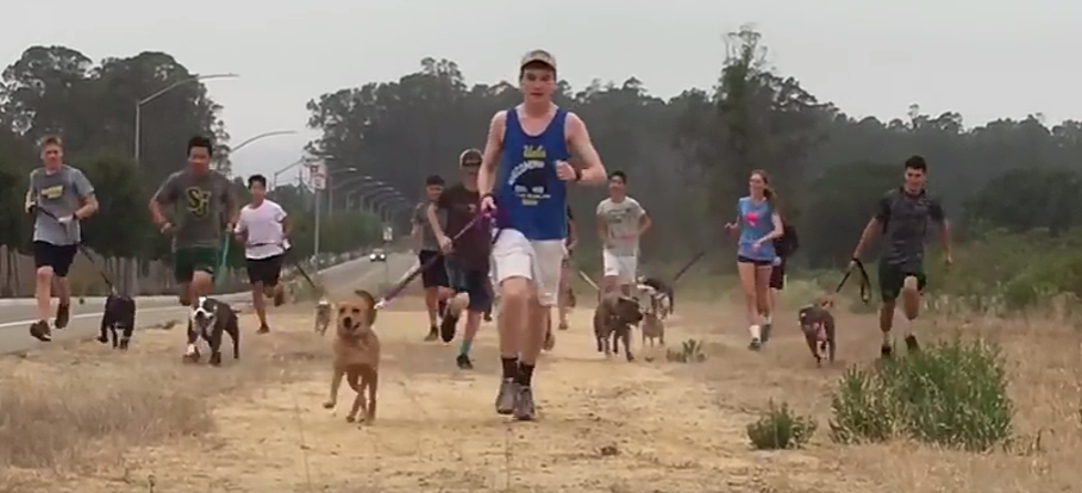 Cross-Country Team Takes Shelter Dogs on a Run