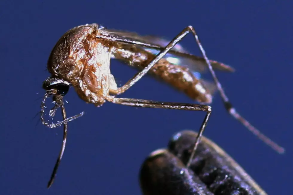 South Dakota’s First Human West Nile Infection of the Season