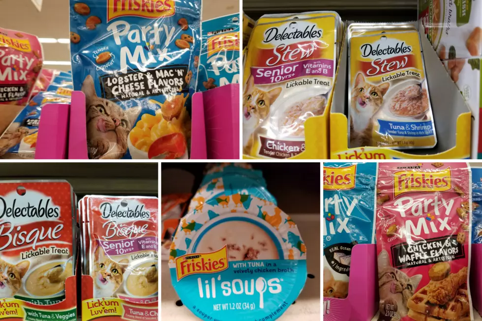 What is Going on With Cat Food?