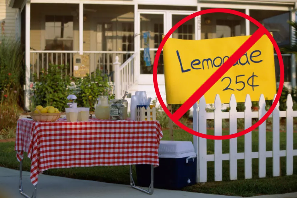Sorry kids, Lemonade Stand are Apparently Illegal in South Dakota