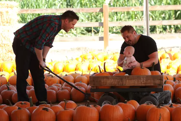 Picking The Perfect Pumpkin