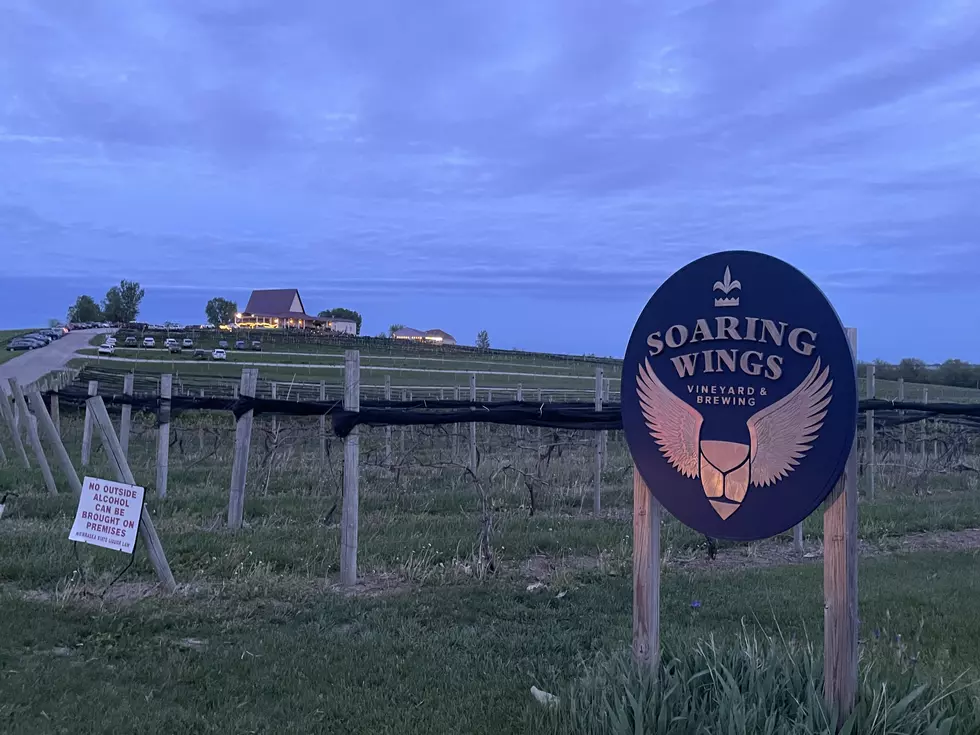 My Visit to Nebraska’s Soaring Wings Vineyard and Brewery