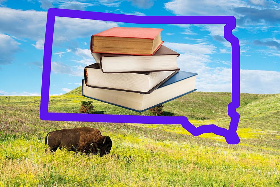 Top 11 Novels Set in South Dakota (That Aren’t by Laura Ingalls Wilder)