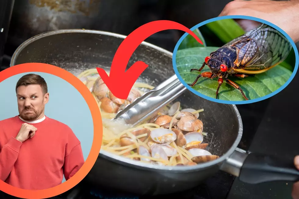 Take Full Advantage of the 2024 ‘Cicada Invasion’ with These Recipes