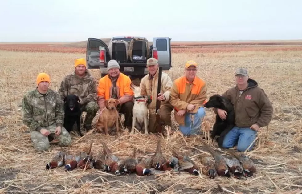 South Dakota Pheasant Hunting Fun