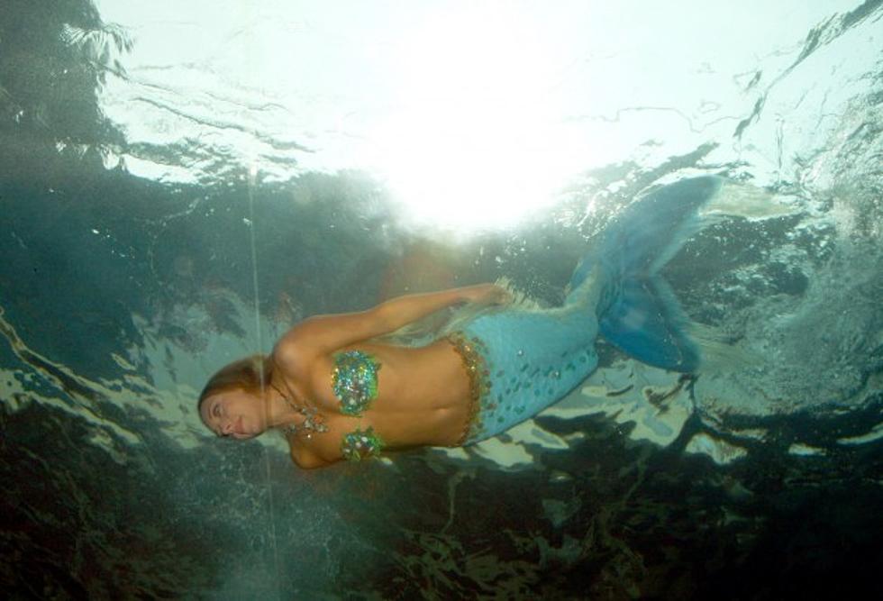 Mermaid Hoax Has Viewers Buzzing