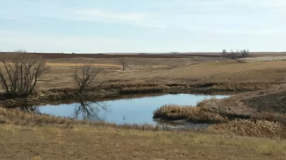 West River Deer Opens this Weekend in South Dakota
