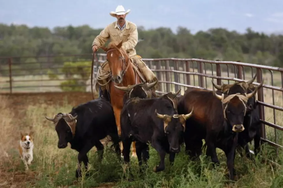 Ranch Rodeo Returns to Turner County Fair