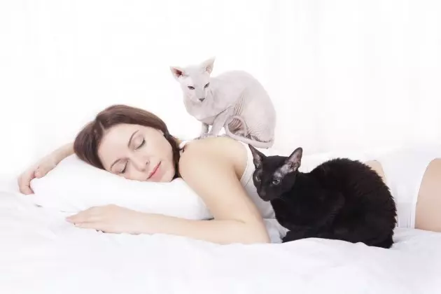 Reclaim Your Bedroom with Tough Love and Sleep Better without Your Pets