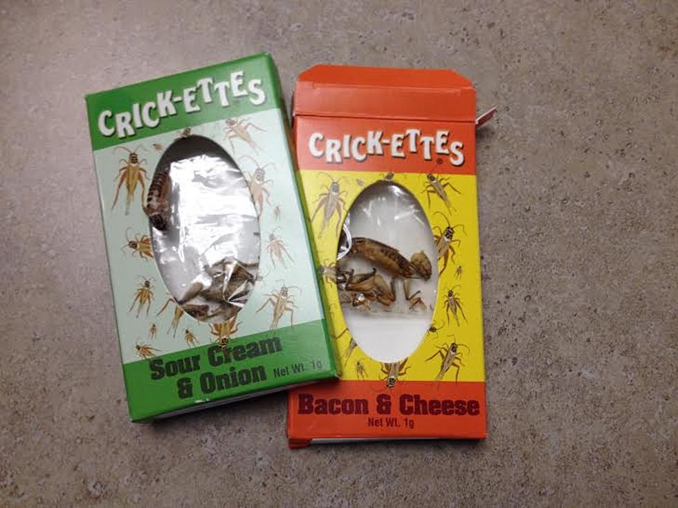 Eating Crickets Healthy?