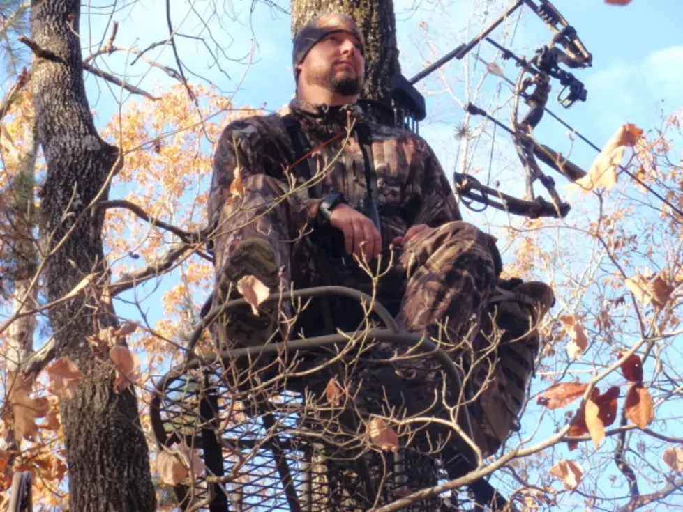 Nearing Bow Hunting Season