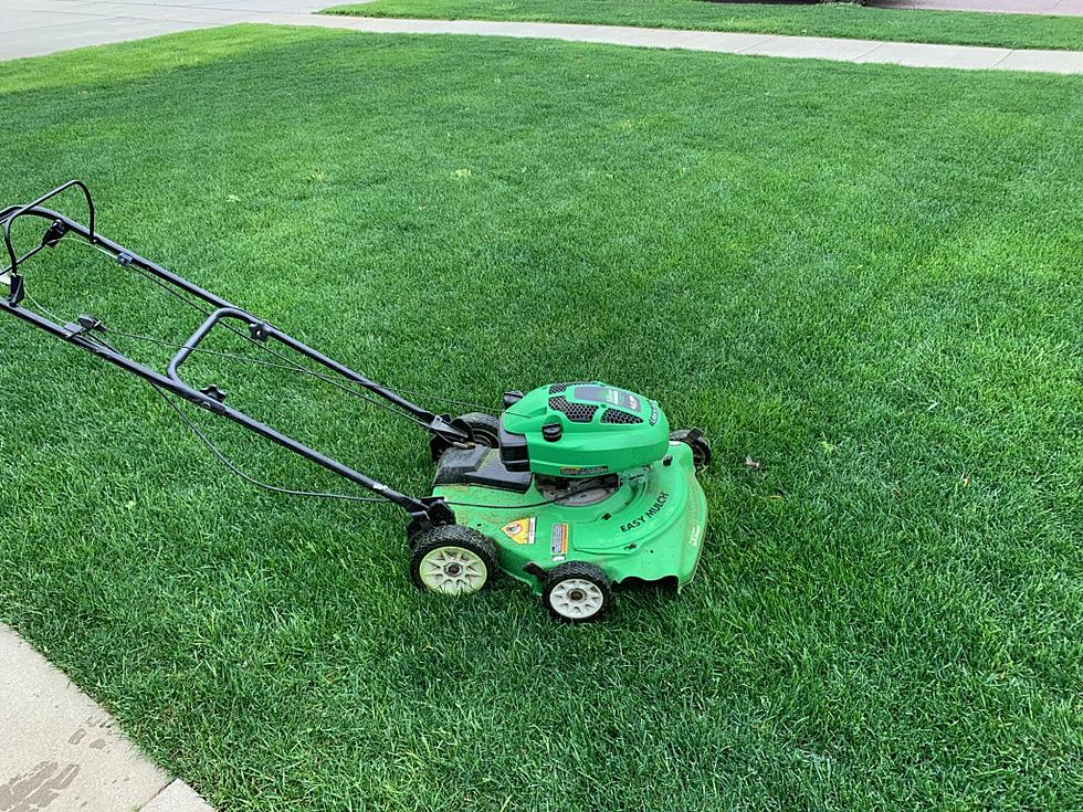 Is Lawn Mowing Contagious Like Yawning?