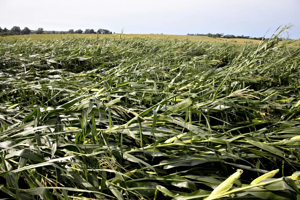 Derecho Devastates Property and Crops in Iowa