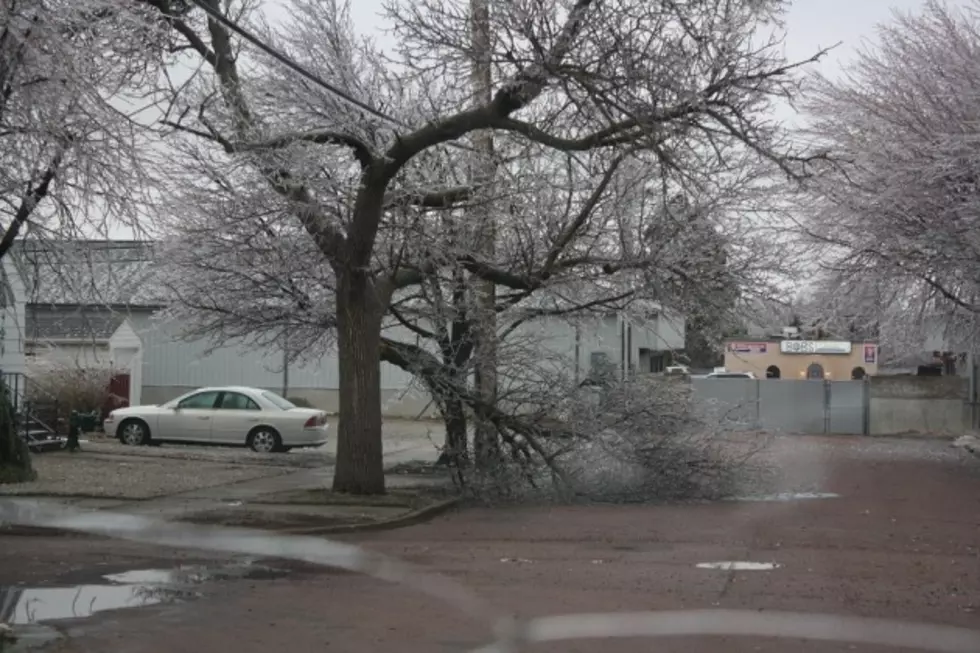 Tree Crews Still Working on Ice Storm Clean-up in Sioux Falls