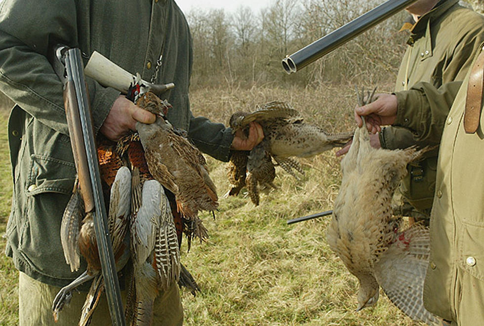 Sioux Falls Welcomes Pheasant Hunters [VIDEO]