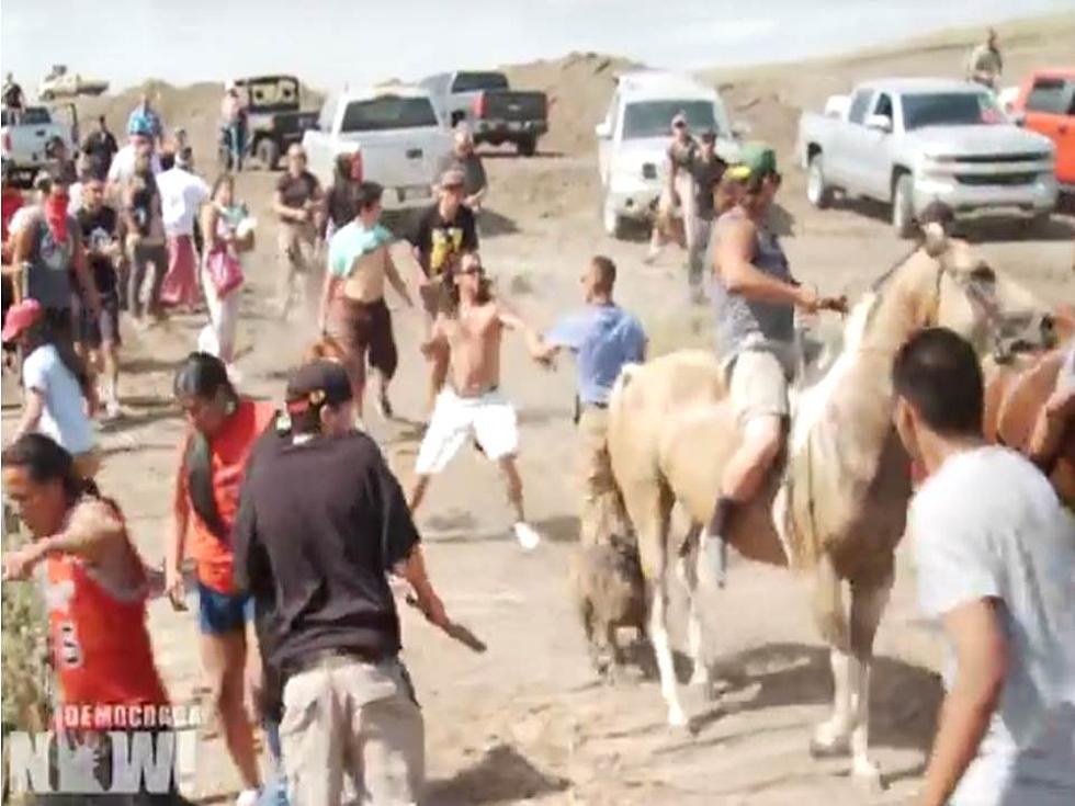 Dogs, Pepper Spray Used on Protesters at Dakota Access Site [GRAPHIC VIDEO]