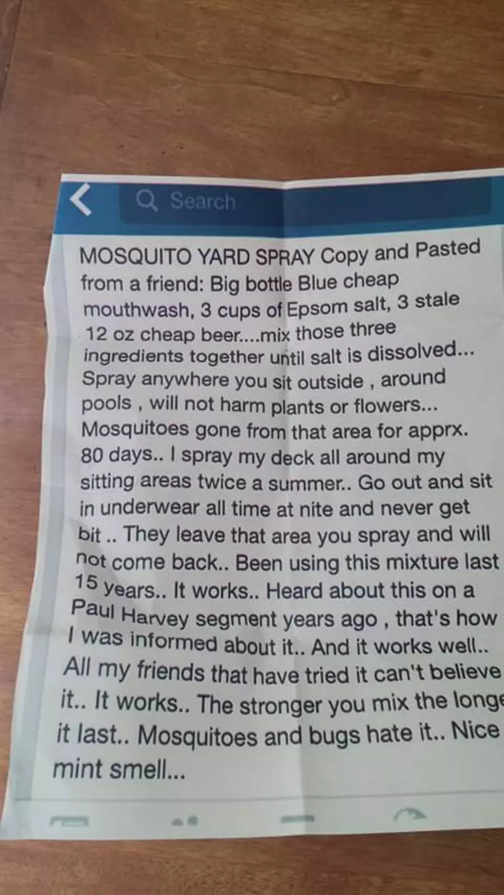 Homemade Mosquito Repellant That Actually Works