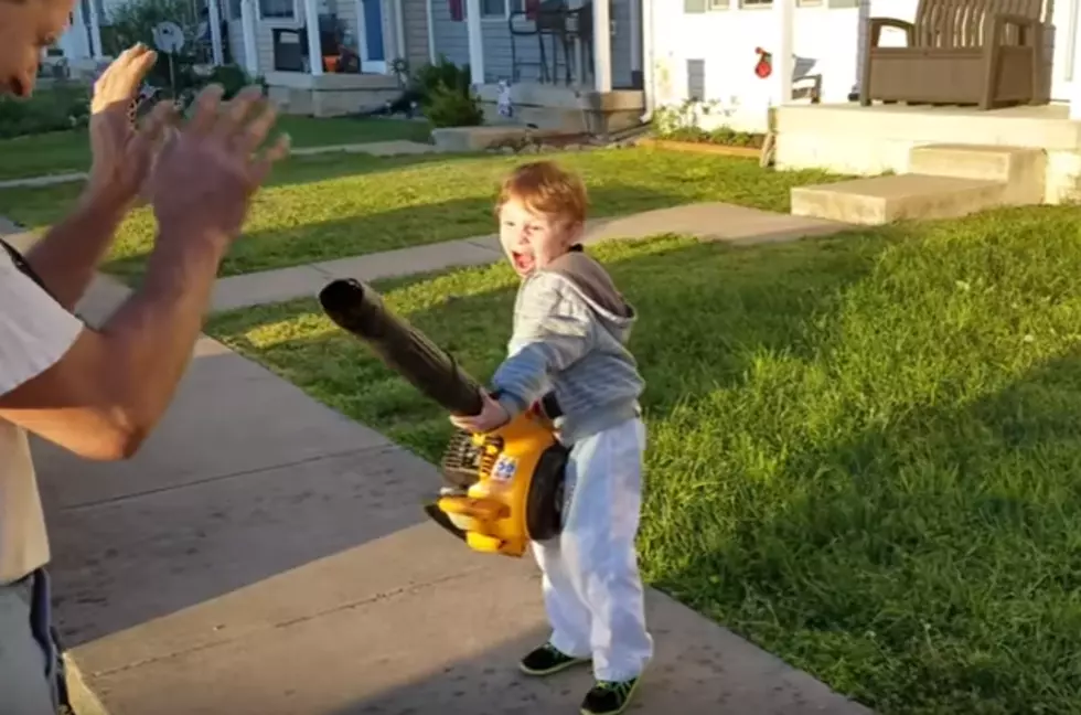 Watch Little Boy Experience a Leaf Blower for the First Time
