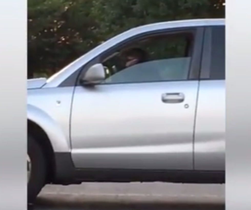 Impatient Dog Honks Car Horn until Owner Returns