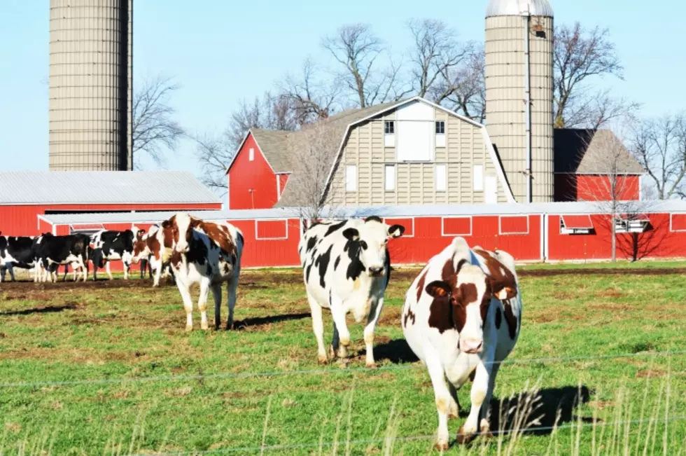 Spend a Day Touring Three Area Dairy Farms in South Dakota and Iowa