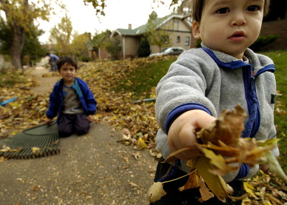 Leaf Drop Off Sites Open Saturday In Sioux Falls