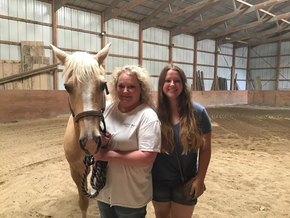 See the Reunion as Friends and Family Buy Back Beloved Horse for Brandon Woman