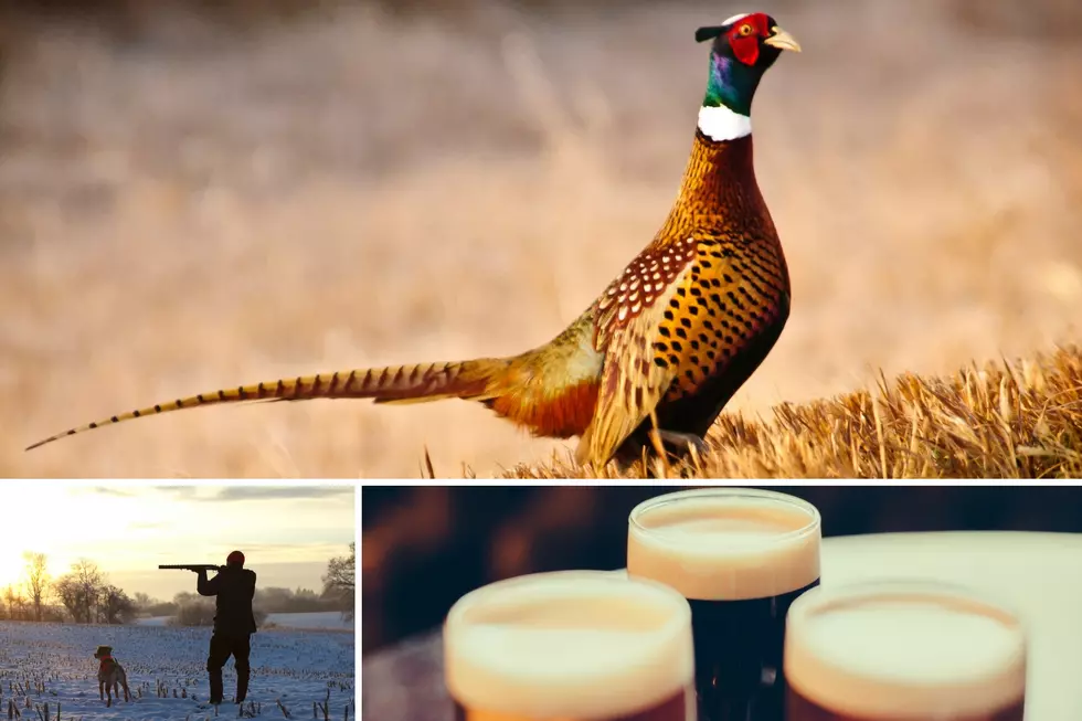 Pheasants and Beer: South Dakota Brewery Competition