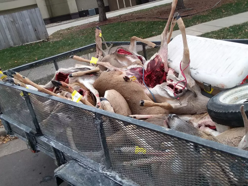 Abandon Trailer with Several Deer Discovered in Sioux Falls