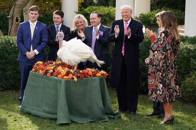 South Dakota Turkeys Ready for Their White House Visit