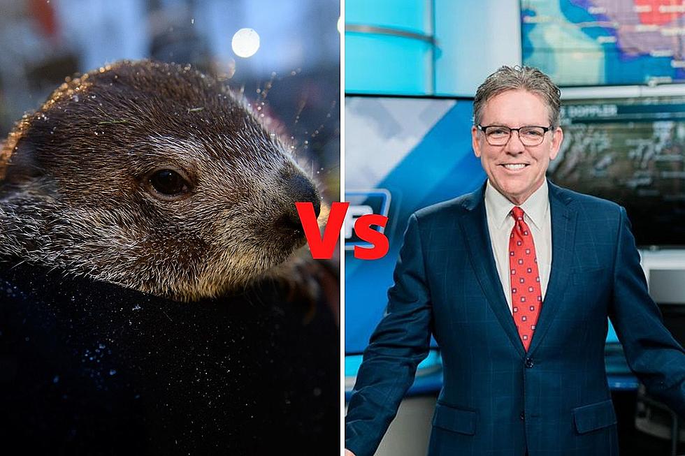Groundhog Day 2021-Phil vs Phil