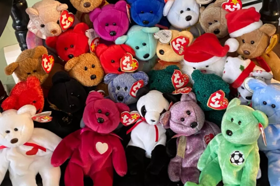 MT. Rushmore Was a Part of This Beanie Baby Collection?