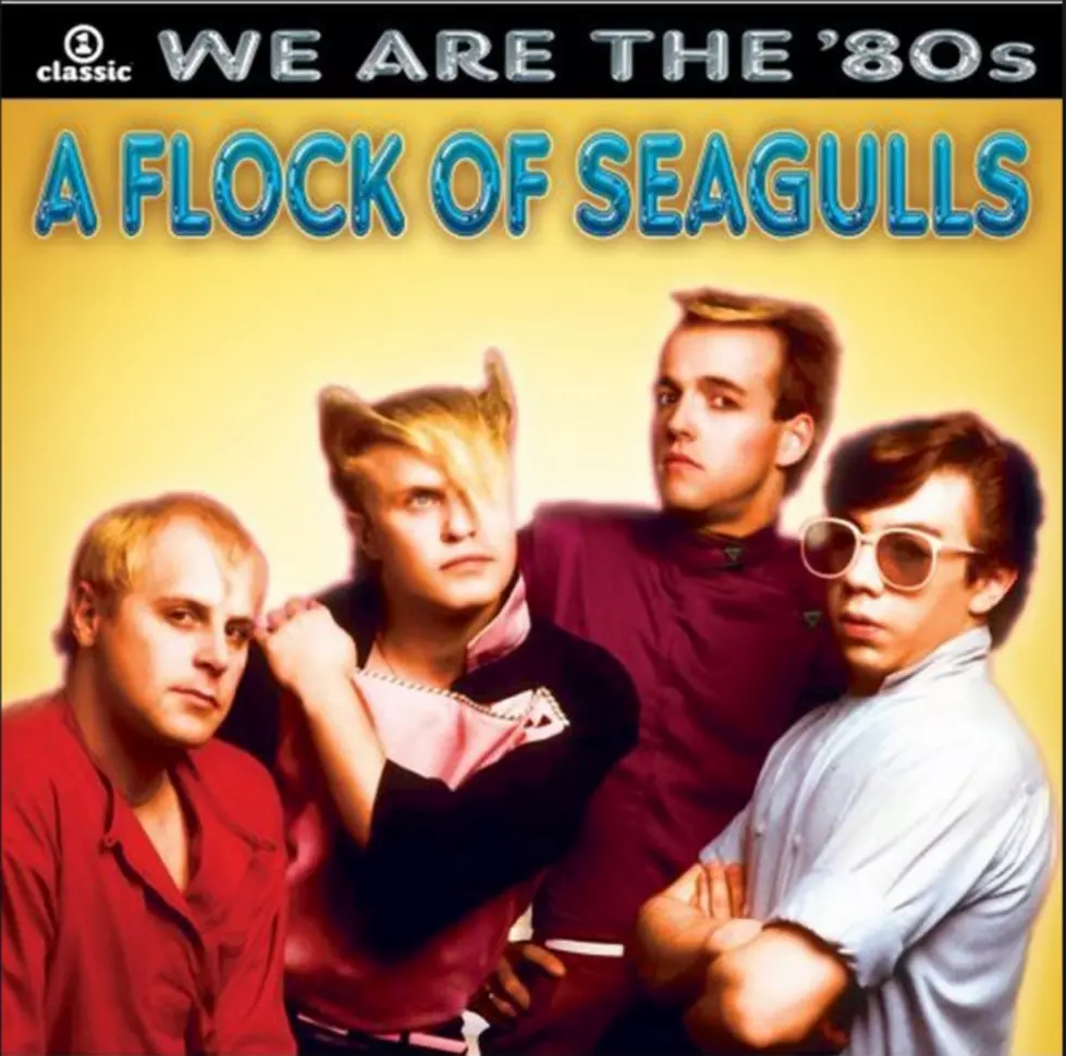 &#8216;Flock of Seagulls&#8217; Robbed [VIDEO]