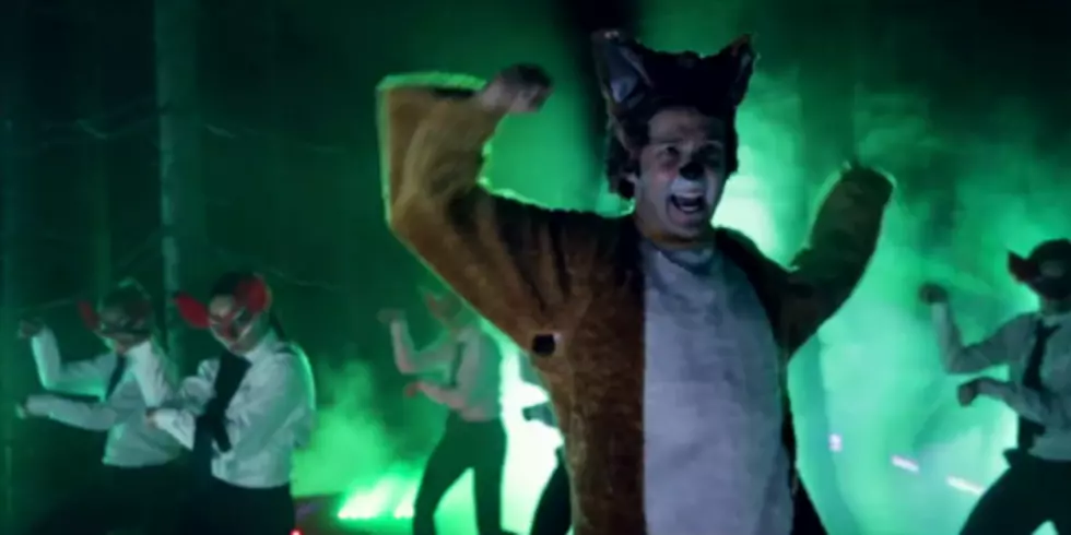 'The Fox' Halloween Light Show